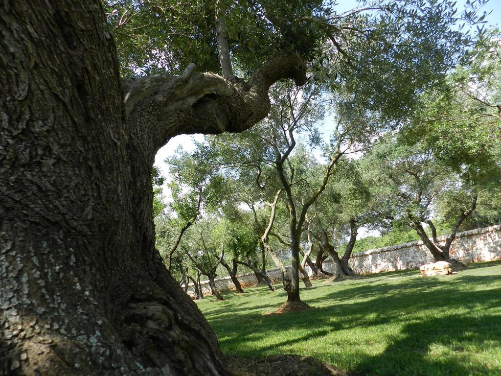 I Trulli Del Nonno Michele Alberobello Exterior foto
